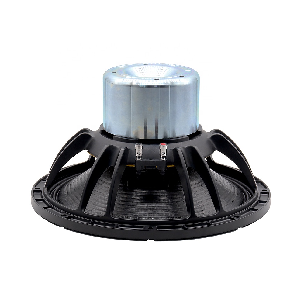 Nuovo Altoparlante Professiona - Speakers recensione e prezzo