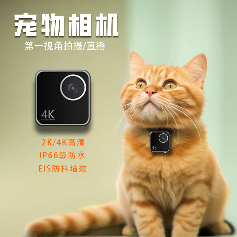 Telecamera per animali domesti - Cameras recensione e prezzo